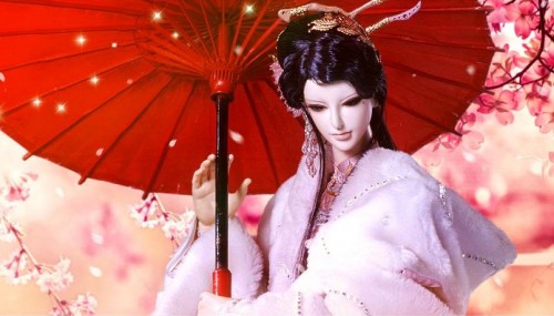 木槿花开